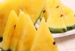 黑瓜吃料网,揭秘美食背后的故事与营养秘密